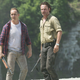 Image for article titled The Walking Dead Supporting Character You Need To Get To Know
